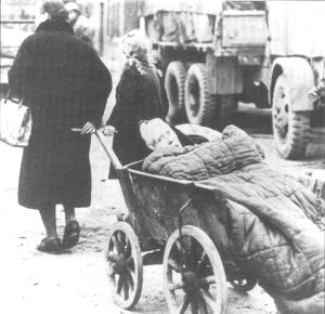 German Victims of Allied Ethnic Cleansing