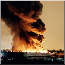Paris in Flames (2005)